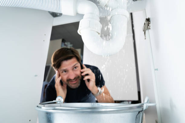 Best Local Plumber Services  in Bradfordville, FL