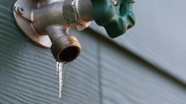 Best Leak Detection Services  in Bradfordville, FL
