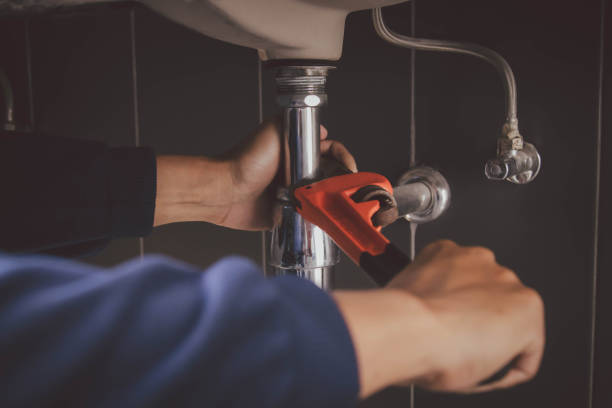 Best Clogged Drain Plumber  in Bradfordville, FL